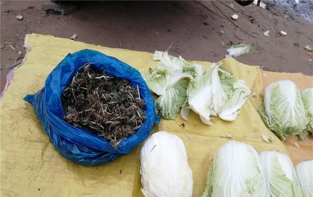  爷爷：农村变成了垃圾菜叶，给农民爷爷发了小金，镇上卖了15元