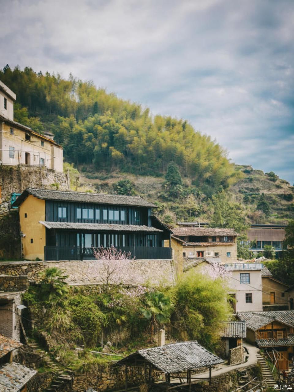 世外桃源@茶香环绕,与探岳陶醉在世外桃源。