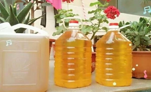  人人|农村人人都吃的自榨油专家却说不能吃，为什么？