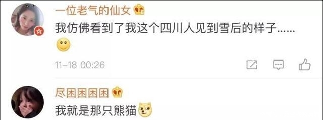四川遇到熊猫