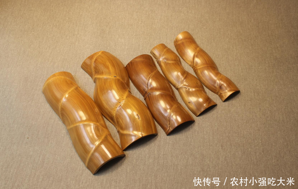 长相奇怪的竹子，乡下人做柴烧，殊不知价已过万