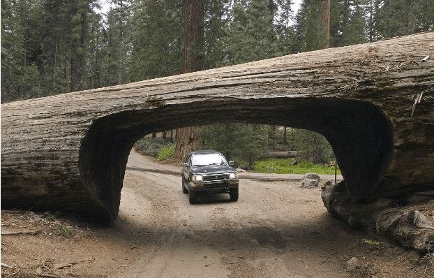 长江隧道通车 | 全球最壮观的十大隧道:中国有三处堪称世界级壮