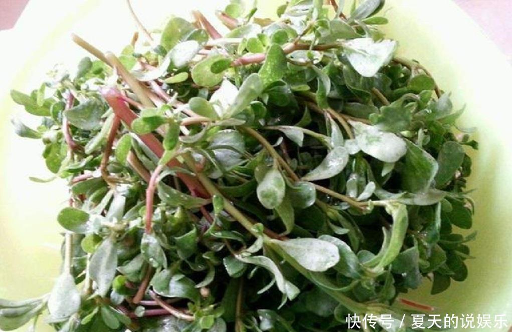  [脸上]“马齿苋”加它敷脸，美白祛斑有奇效，用过的人色斑早就没了！