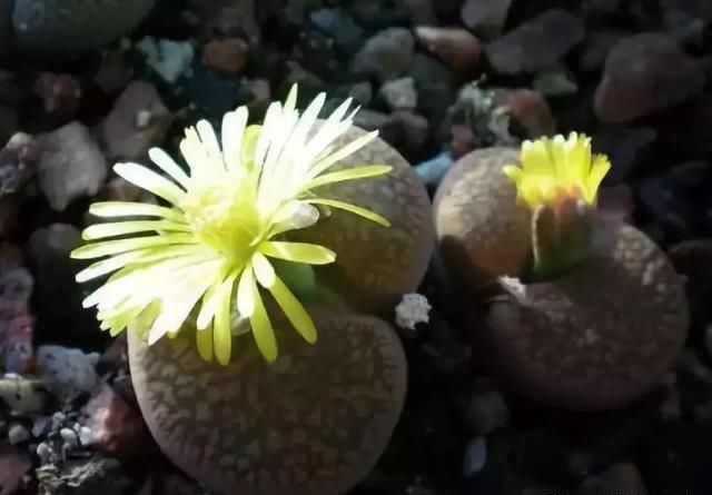 壮美了！发给大家欣赏！