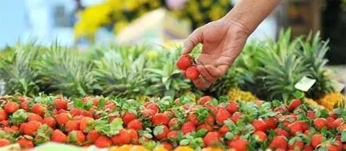  养殖户@放心种，大胆养！政府来买单！这些地区的种养殖户心里踏