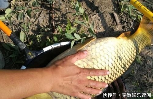  【建议】为了渔获无所不用其极，这3种没底线的钓鱼人，建议你离他远点