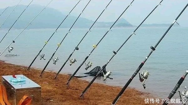 『不难』野钓草鱼草鱼并不难,几种简单的钓法即可轻松钓获