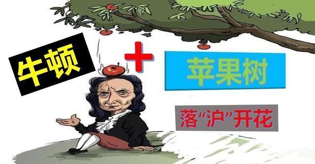  「开花结果」什么是牛顿苹果树？它在上海开花结果啦！
