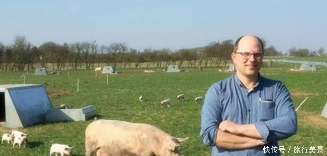  「强国」世界养猪“第一”强国：两万头猪仅需三个人，就可以完