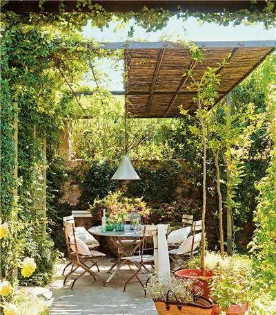  「绿植」农村小院怎样装才好看？如果我在乡下有一院子，一定要