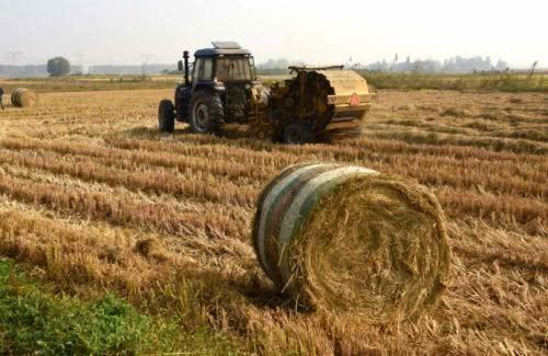 2019年农村秸秆还田的2大弊端，最少损失3万，知道的人不多