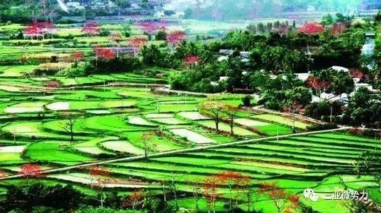 海南各市县优势大盘点，你适合在哪里定居？