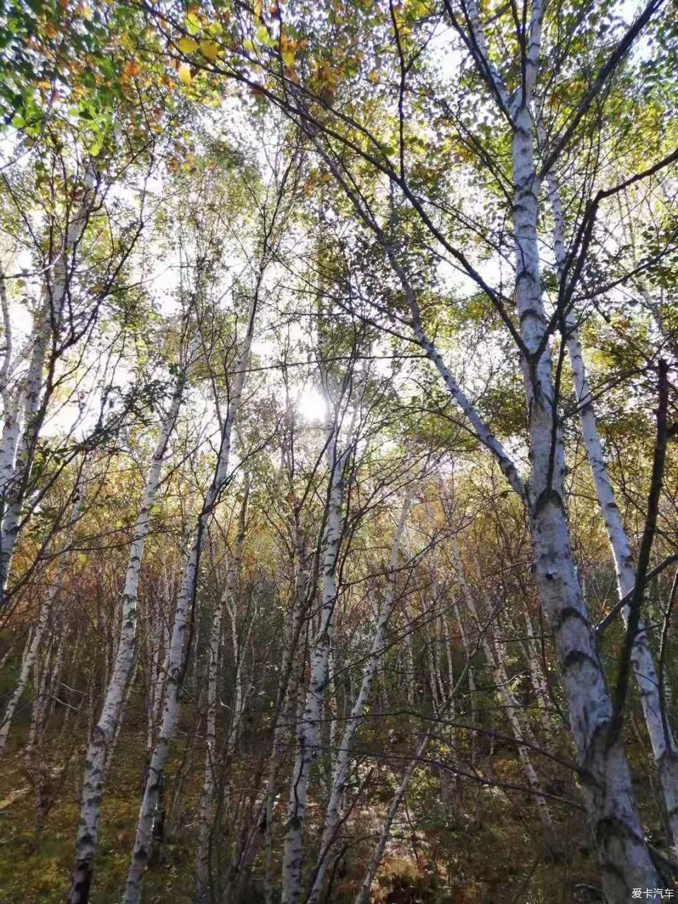 驾着s90重游承德小众景点之情人谷