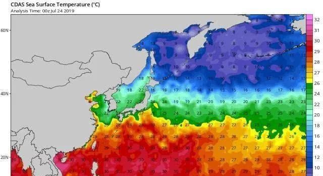16级超强台风要来了？远洋胚胎潜力大，或是2019年第2个大台风