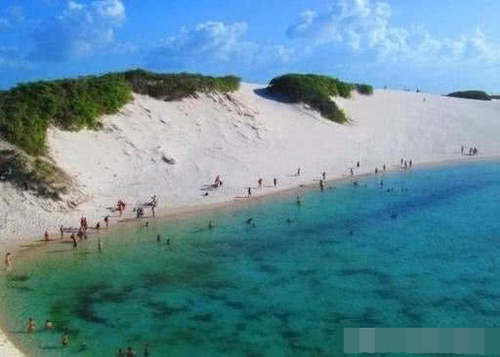 世界最独特的沙漠，每年降雨量1600毫升，还有鱼生活