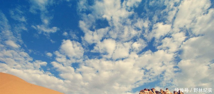 从良田变成荒漠，再从荒漠变成绿洲，这其中到底经历了什么