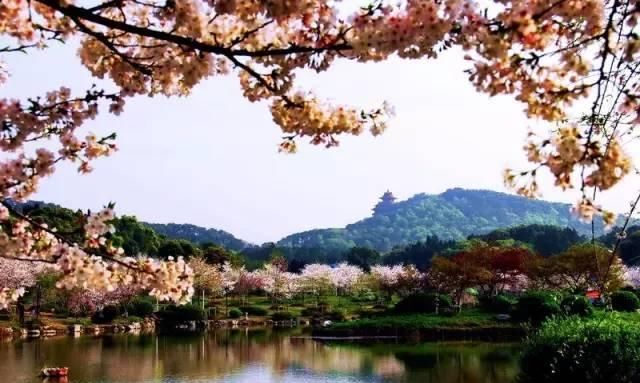 「慢慢」中国212个AAAAA景区全在这里, 存起来, 慢慢走完!