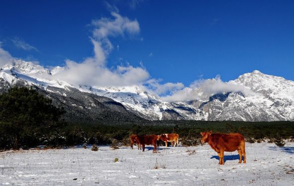 云南最美的雪山，曾被忽必烈册封，如今成为“天堂”圣地