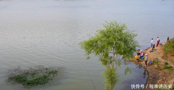  水质：怪不得没鱼咬钩，原来钓点要这样选！5个关键词，这些位置鱼成群！