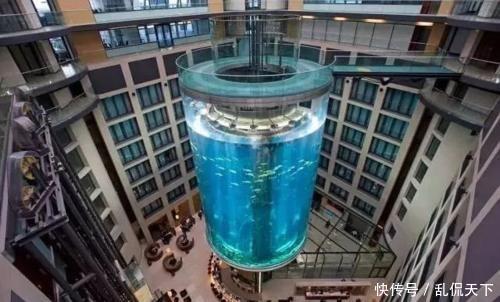 世界最大的鱼缸,耗资近亿元,藏身于一个普通酒店中