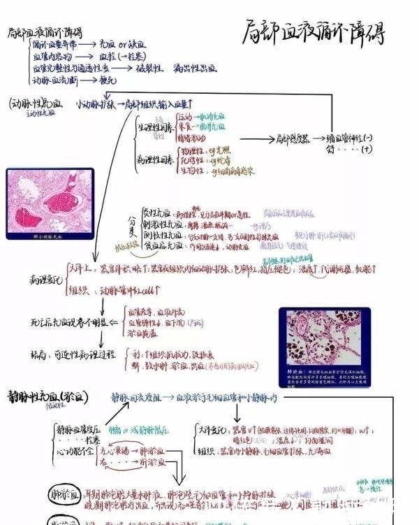  「建筑工程学」顶尖高校学霸晒出“神仙笔记”网友跪了这就是差距啊