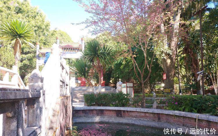 自驾游方便还是跟团游方便？