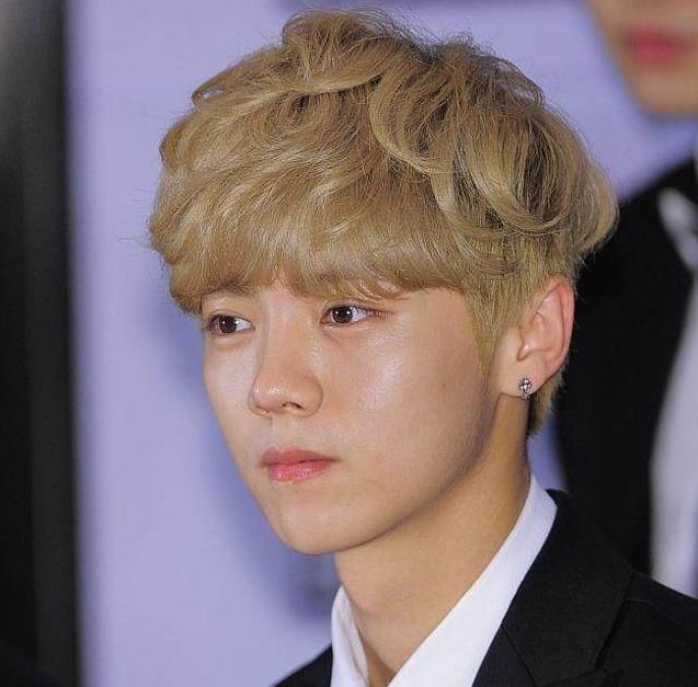 鹿晗被散打冠军方便称为娘炮，称其侮辱搏击运动，误导观众