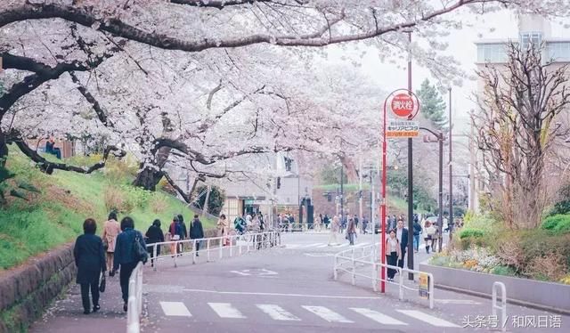 日本旅游签证严厉收紧,3月开始简化申请将停止