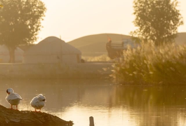 我国的这个民族世代生活在沙漠里，职业却都是“渔民”！