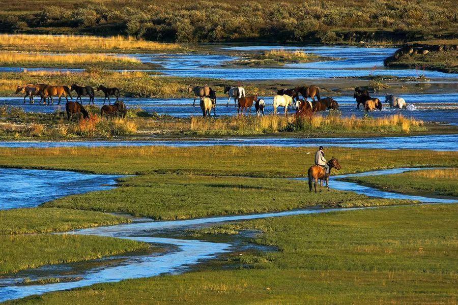 九月的新疆逼疯摄影师，勾走了你的魂
