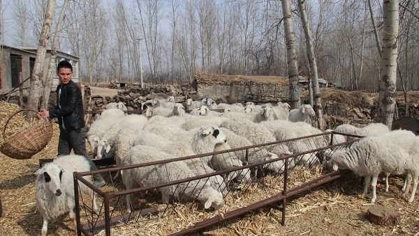  「保护区」下个月，村干部领取新任务，强拆4种养殖场，涉及村村