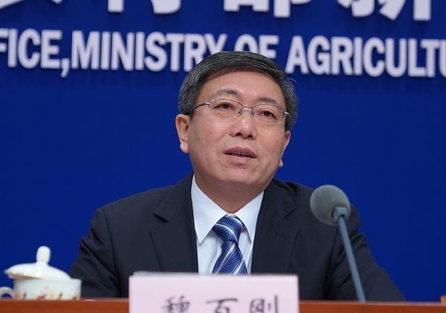  明年@农业农村部：生猪生产进入止降回升转折期 明年有望基本恢