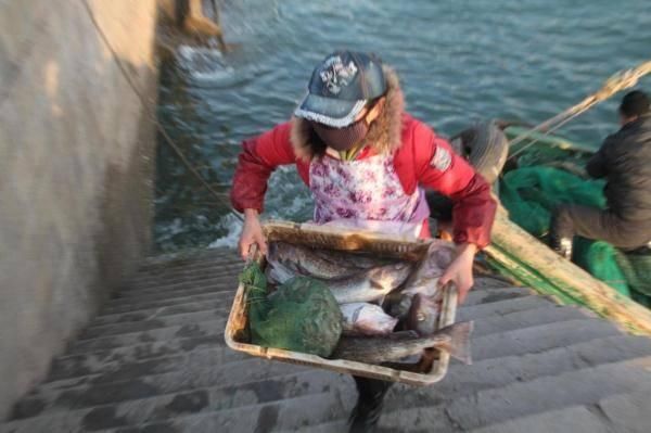 青岛渔民一天捞80斤海鲜 上岸5分钟就被抢光