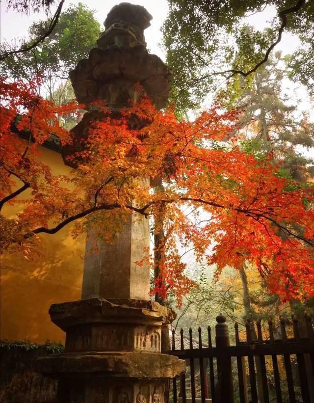 出发 | 金秋十月，这5个地方藏着中国最美的秋色！