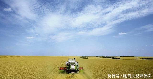  【三农】三农快讯，关于农村粮食补贴政策，这四类情况大家注意