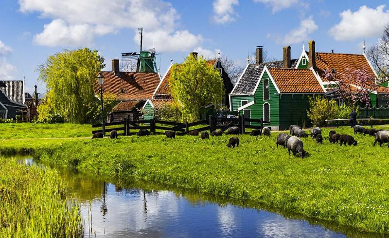 欧洲多美女的“巨人国”，人均身高世界第一，女游客：别带男友来