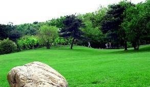 原始的风景，景色如画醉人（原创散文）