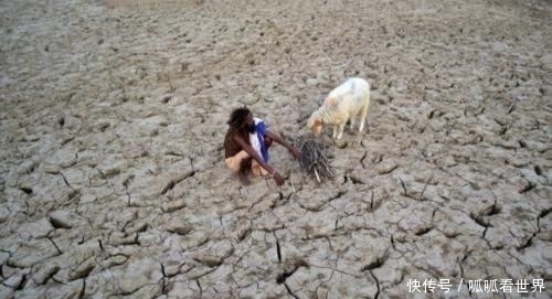  「忍耐」印度高温50度，猴子都难以忍耐，看看当地穷人和富人都