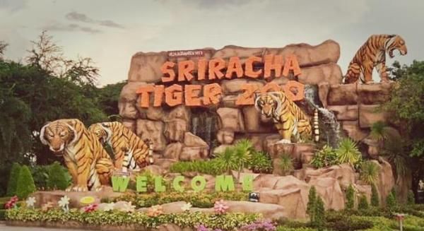 去芭提雅旅游怎么玩,都有哪些好玩的地方?