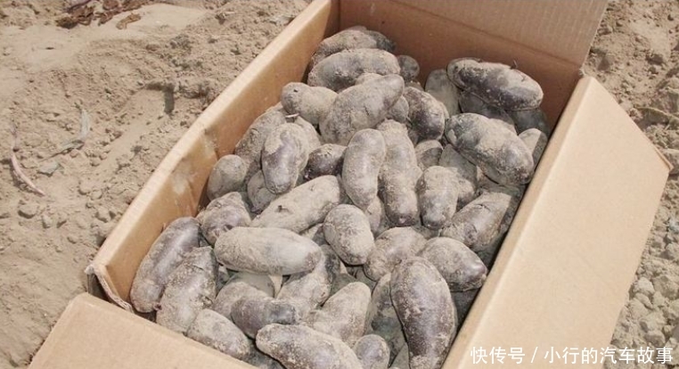  #第一个#全球第一个被“治愈”的沙漠: 村民拿来种土豆, 一年收