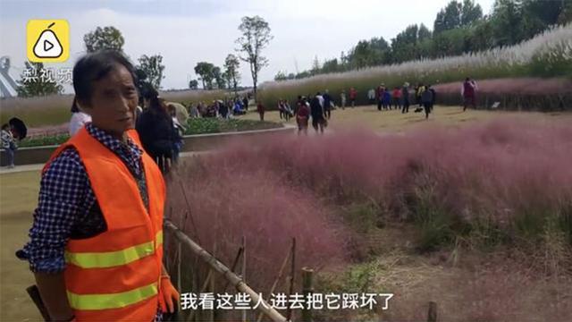 啥网红书店啊还强制消费?老板:以前全是看书的,现在全是拍照的