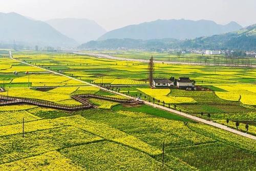 这个春天去陕西看花，八处养眼好看的赏花地美得让你落泪！