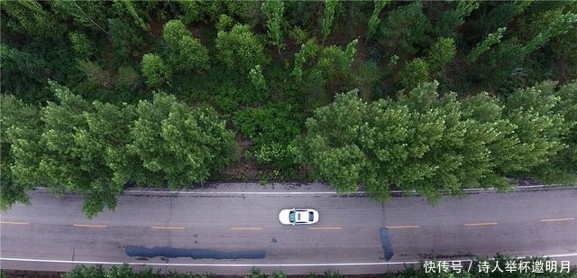  王德功|中国“沙漠之城”成“塞上绿洲”