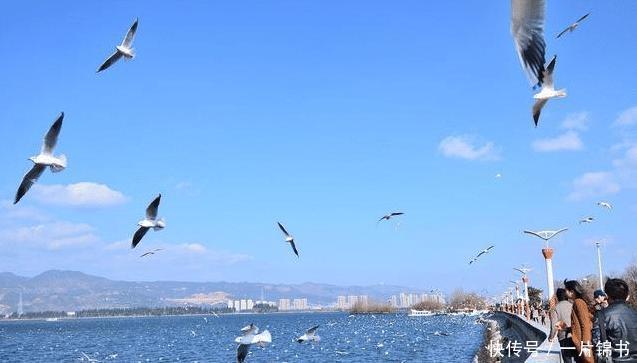 广东、广西、云南3省合力规划一条高铁, 沿线城市即将有新机遇