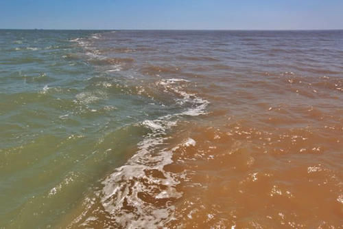 黄河九曲十八弯，黄龙入海的壮观景象你见过吗，不一样的黄河之美