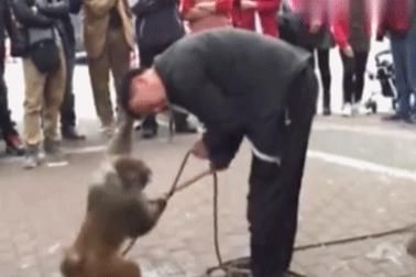  #核心诉求#拼多多在田间地头疯狂蹦迪