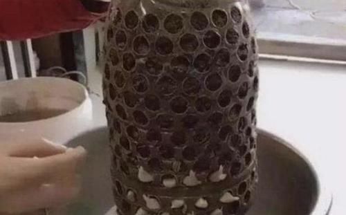  【油桶】厨房的“空油桶”留着，拿来“剪2刀”，变成“种菜容器”，值！