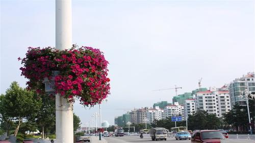 山东分裂出的3个城市，一个宜居，一个无名，一个刚被省会吞并