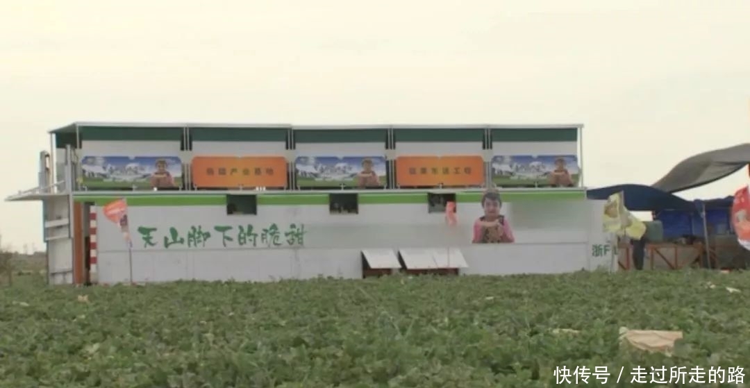  李健中：靠“赌水果”白手起家！他把水果生意做到了亿元的境界