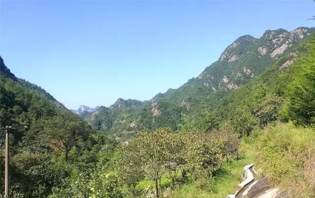  「大若岩镇」温州芙蓉岭古道，浙江省十大人文古道之一